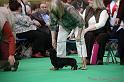 Crufts2011_2 824